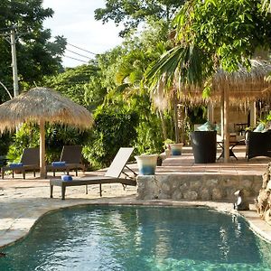 The Beach House